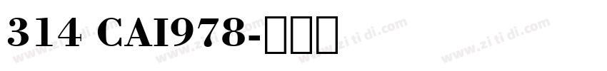314 CAI978字体转换